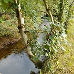 Glamping River Hut